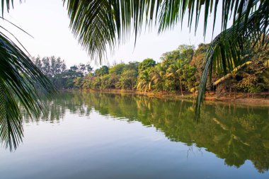 Doğal manzara. Göl suyundaki ağaçların yansıması. Mavi gökyüzüne karşı.