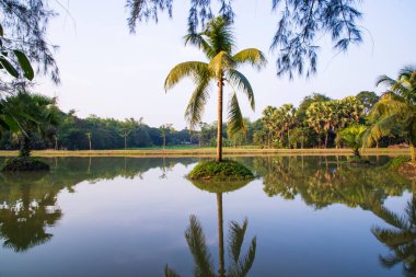 Doğal manzara görüntüsü Göl suyundaki hindistan cevizi palmiyesinin yansıması Mavi gökyüzüne karşı