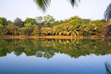 Doğal manzara. Göl suyundaki ağaçların yansıması. Mavi gökyüzüne karşı.