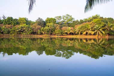 Doğal manzara. Göl suyundaki ağaçların yansıması. Mavi gökyüzüne karşı.