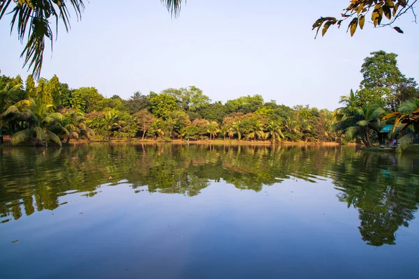 stock image Natural landscape view Reflection of trees in the lake water against blue sky