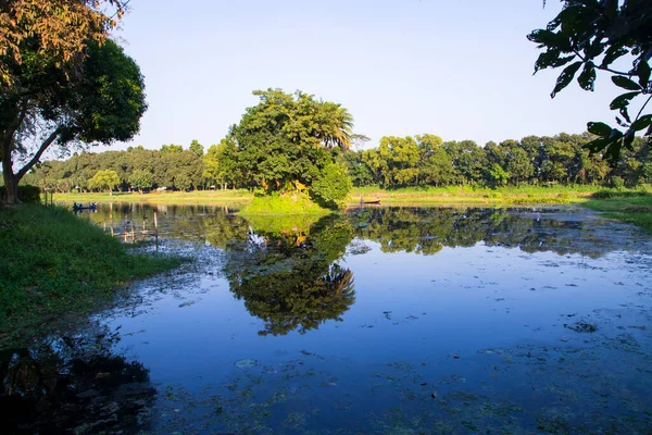 Naturlig Udsigt Landskabet Refleksion Træer Søen Vand Mod Blå Himmel - Stock-foto