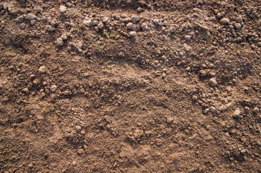 Brown crushed soil peat field texture may be used as a  background wallpaper
