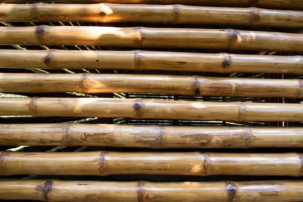 Varnish Bamboo Fence Abstract Background Texture — Stock Photo, Image