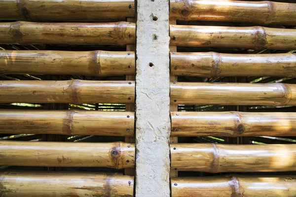 Lakovací Bambusový Plot Abstraktní Textura Pozadí — Stock fotografie