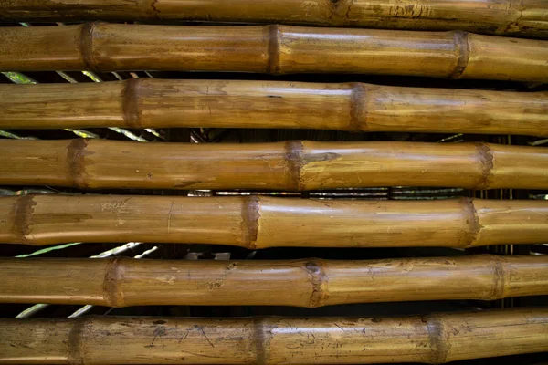 Lack Bambu Staket Abstrakt Bakgrund Konsistens — Stockfoto