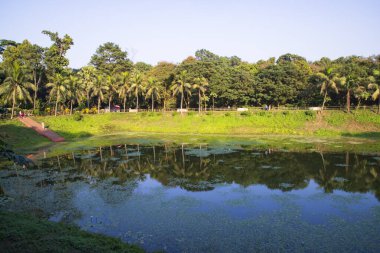 Doğal manzara. Göl suyundaki ağaçların yansıması. Mavi gökyüzüne karşı.
