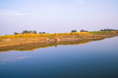 Yeşil çimen ve bitki örtüsüne sahip Arial Manzara Kanalı Bangladeş 'teki Padma nehrinin yakınındaki suya yansıdı.