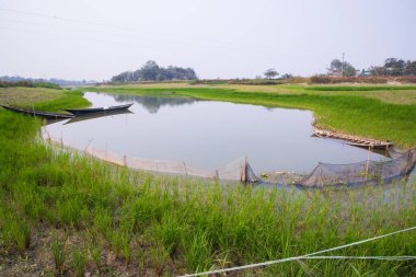 Kanel 'in yanındaki pirinç tarlası ve balıkçı teknesinin manzarası.