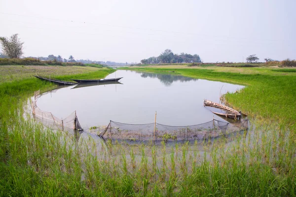 stock image Landscape view of rice field and fishing boat  on the side of the Kanel