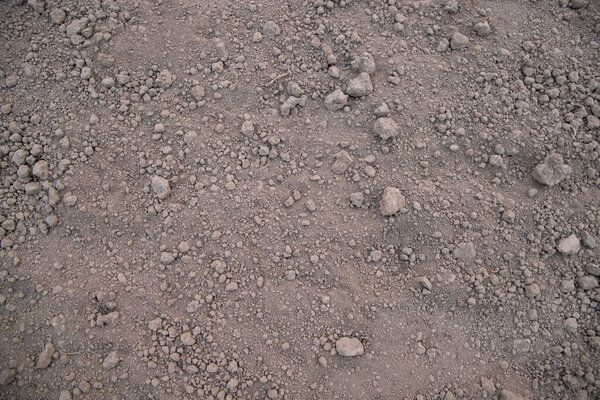 Brown crushed soil peat field texture may be used as a  background wallpaper