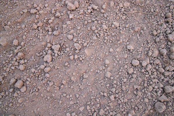 Brown crushed soil peat field texture may be used as a  background wallpaper