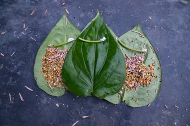 Dekorasyon yeşil betel Yaprak beton zemin üzerinde betel fındık, tatlı masala ve limon 