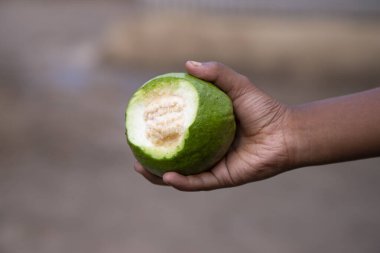 El ele tutuşan guava meyvesi, sığ bir tarla derinliğinde.