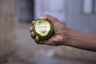 El ele tutuşan guava meyvesi, sığ bir tarla derinliğinde.