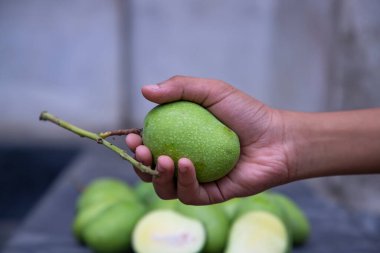 Bulanık arkaplanı olan el ele tutuşan çiğ yeşil mango.
