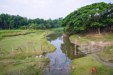 Nehir suyu, mavi gökyüzünün altındaki yeşillik manzarasıyla kanalın içinden akar.