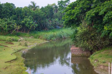 Nehir suyu, mavi gökyüzünün altındaki yeşillik manzarasıyla kanalın içinden akar.