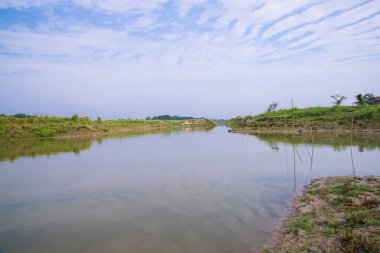 Bangladeş 'teki Padma nehrinin yakınındaki suya yeşil çimen ve bitki örtüsü yansıyan kanal