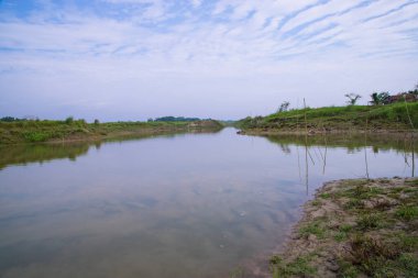 Bangladeş 'teki Padma nehrinin yakınındaki suya yeşil çimen ve bitki örtüsü yansıyan kanal