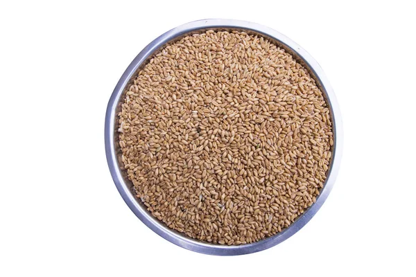 Wheat Grains Seeds Steel Bowl Top View Isolated White Background — Stock Photo, Image