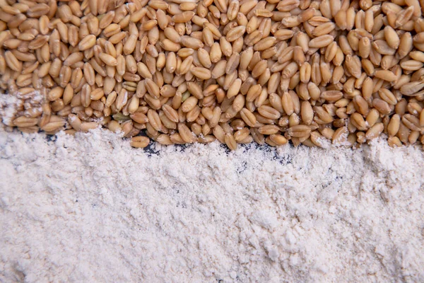 Пшеничні Зерна Пшенична Квітка Коричневий Атакуючий Візерунок Текстура Може Бути — стокове фото