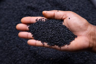 Çiftçinin elindeki soğan tohumları Nemi kontrol ediyor