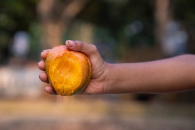 Bulanık arka planda el ele tutuşan mango ısırığı, sığ alan derinliğinde seçici odak