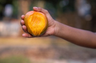 Bulanık arka planda el ele tutuşan mango ısırığı, sığ alan derinliğinde seçici odak