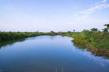 Mavi gökyüzünün altında yeşil çimen manzaralı göl suyu