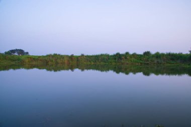 Mavi gökyüzünün altında yeşil çimen manzaralı göl suyu