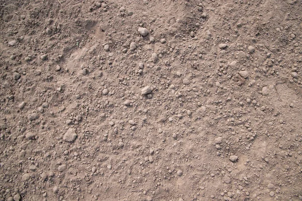 Brązowy Zgnieciony Torf Glebowy Może Być Stosowany Jako Tapeta Tła — Zdjęcie stockowe