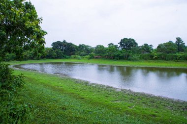 Ormanın ortasında yeşil çimenler ve mavi gökyüzü olan göl.