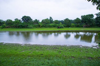 Ormanın ortasında yeşil çimenler ve mavi gökyüzü olan göl.