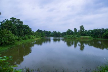 Bangladeş 'in su ve orman kırsalının manzarası