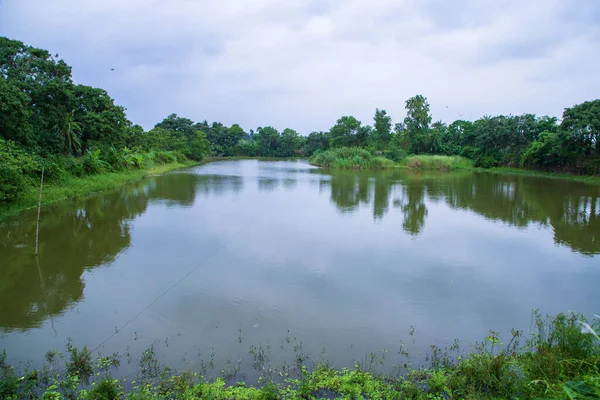Краєвид Озеро Водою Лісовими Районами Бангладеш — стокове фото