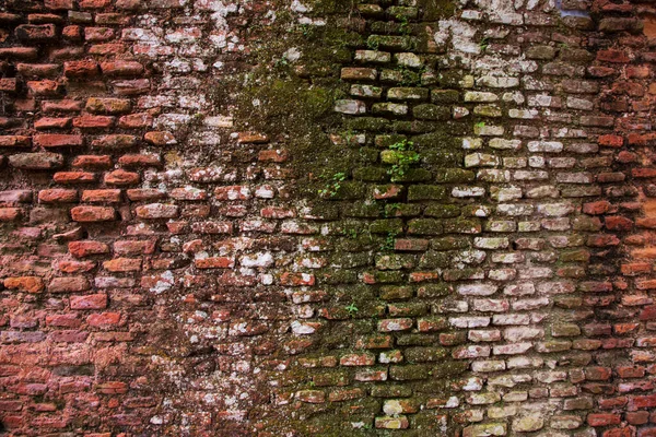 緑の苔と地衣類と古いレンガの壁 要旨の背景 — ストック写真