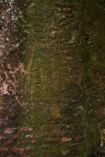Παλιός Τοίχος Από Τούβλα Πράσινα Βρύα Και Λειχήνες Αφηρημένο Φόντο — Φωτογραφία Αρχείου