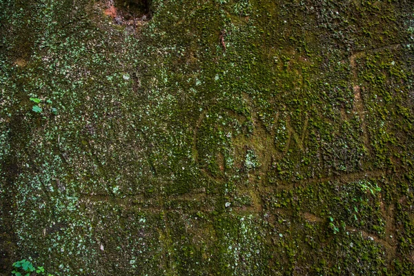 有绿色苔藓和苔藓的旧砖墙 摘要背景 — 图库照片