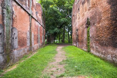 Panam Nagar 'da yeşil çimenli eski tuğla duvar, Sonargaon Narayanganj, Bangladeş