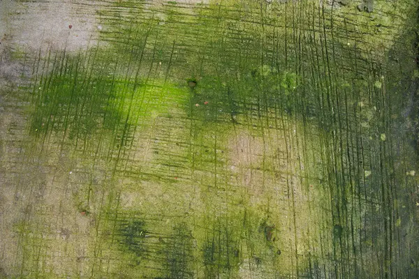 Mantar Yeşil Yosun Deseni Soyut Arkaplan Beton Zemin — Stok fotoğraf