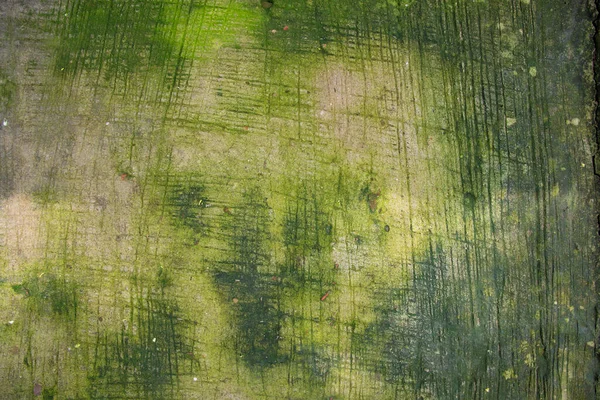 真菌绿苔藓纹理抽象背景混凝土楼层 — 图库照片