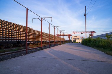 Vanga tren istasyonu, Faridpur.