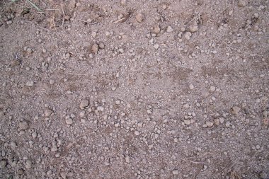 Brown crushed soil peat field texture may be used as a  background wallpaper