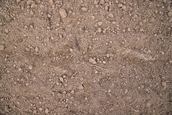 Kahverengi Ezilmiş Toprak Turba Alan Dokusu Arka Plan Duvar Kağıdı — Stok fotoğraf