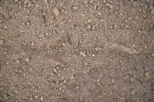 Brown crushed soil peat field texture may be used as a  background wallpaper