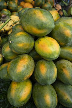 Olgun Papaya Bangladeş 'in Dhaka pazarında satışa sunuldu