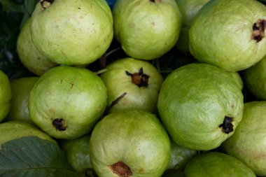 Taze Yeşil Guava meyveleri Bangladeş pazarında satışa sunuldu