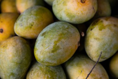 Taze Meyveler Olgun Mango Bangladeş Pazarı 'nda satışa sunuldu