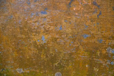 Fungi Green Moss Texture abstract background concrete wall. Rusty, Grungy, Gritty Vintage Background